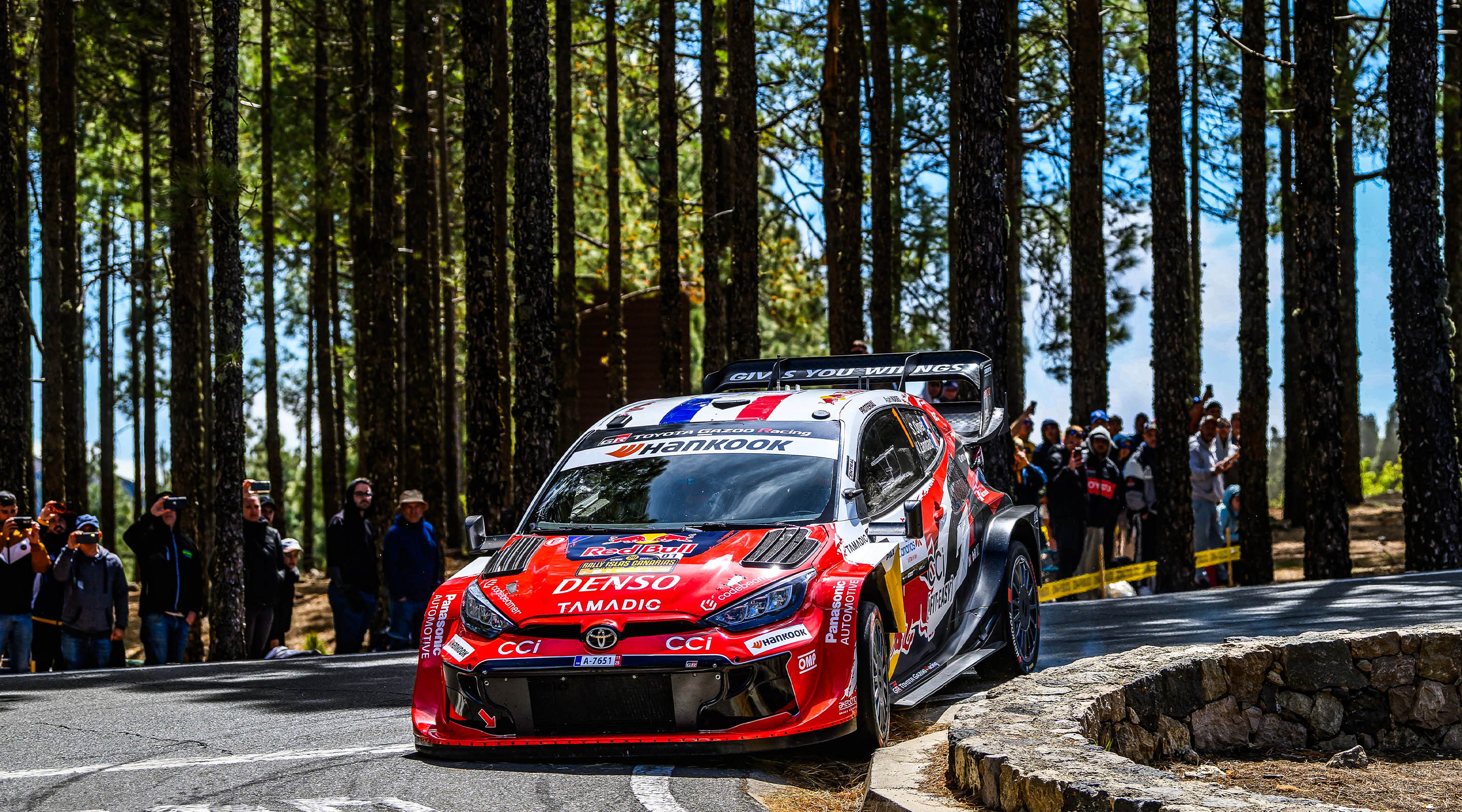 Rally Islas Canarias highlights