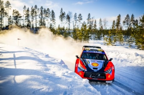 Rally Sweden highlights