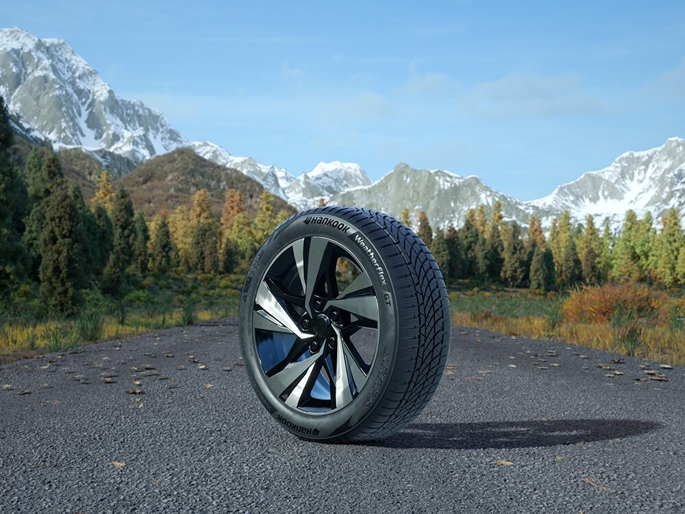 웨더플렉스_gt_1